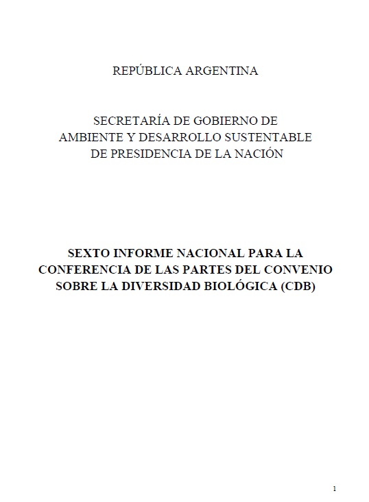 6to informe