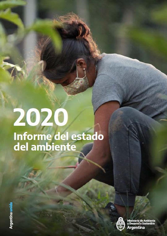 Estado del Ambiente