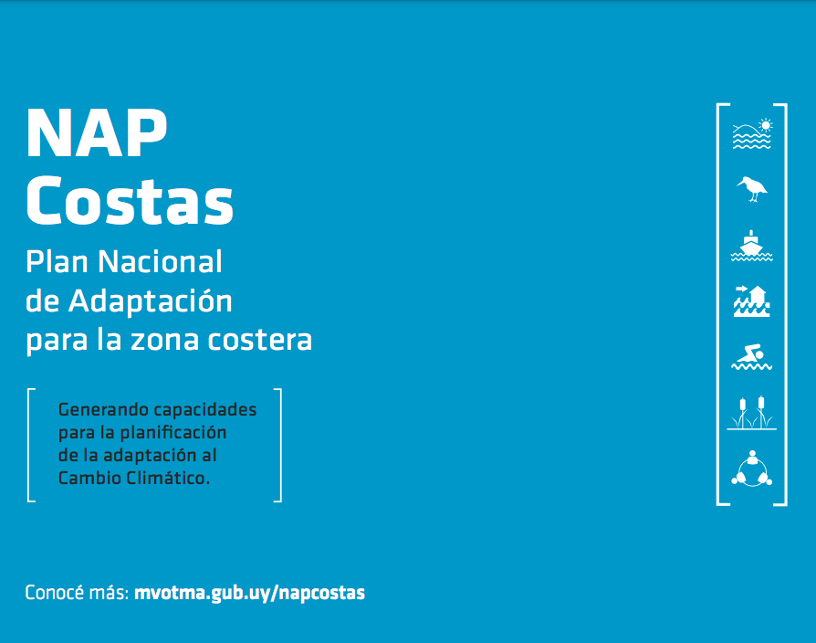 nap costas