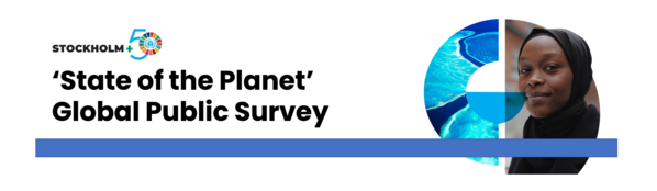 Encuesta global