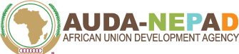 NEPAD logo