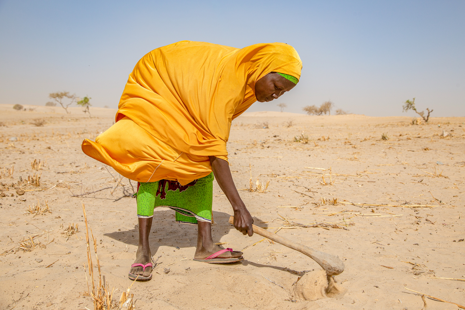 HEADLINES | Africa’s Experiences Integrating SDGs in Development Plans ...