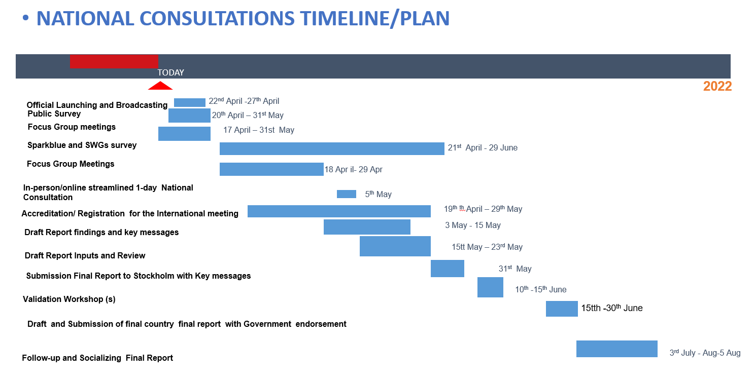 Mozambique S+50 National Consultation Time Plan