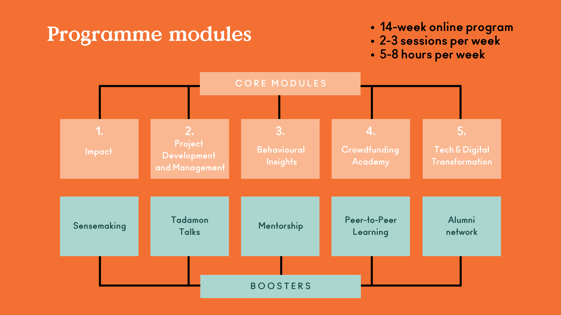 module overview