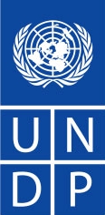 UNDP logo