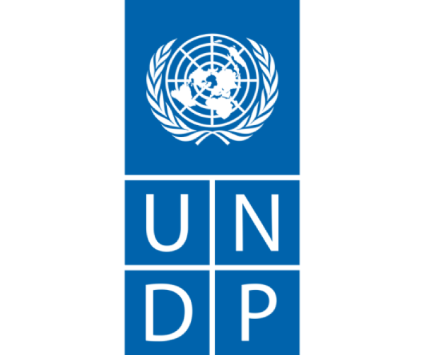 UNDP logo