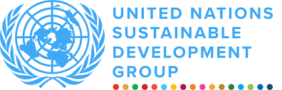 UNSDG logo