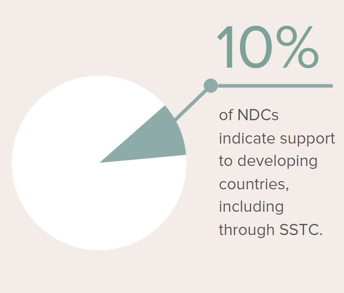 A pie chart with a number of percentages

Description automatically generated