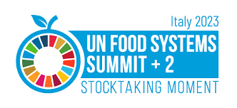 un food system flyer