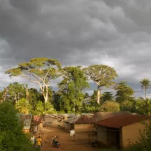 A community in the forested Foya area in Lofa County, 
