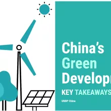 China's Green Development