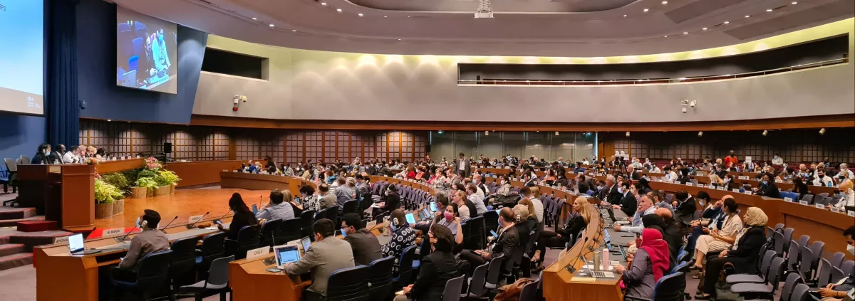 View of delegates in the plenary. 